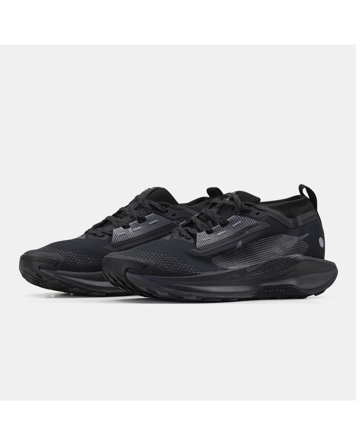 Nike Pegasus Trail 5 GTX Gore-Tex Black