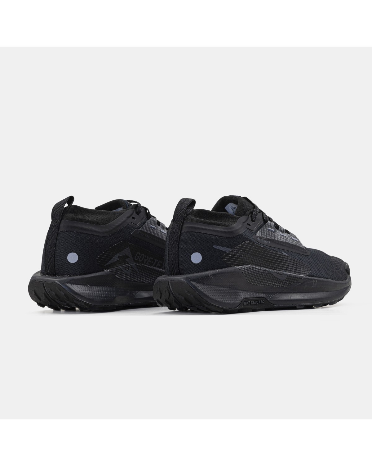 Nike Pegasus Trail 5 GTX Gore-Tex Black
