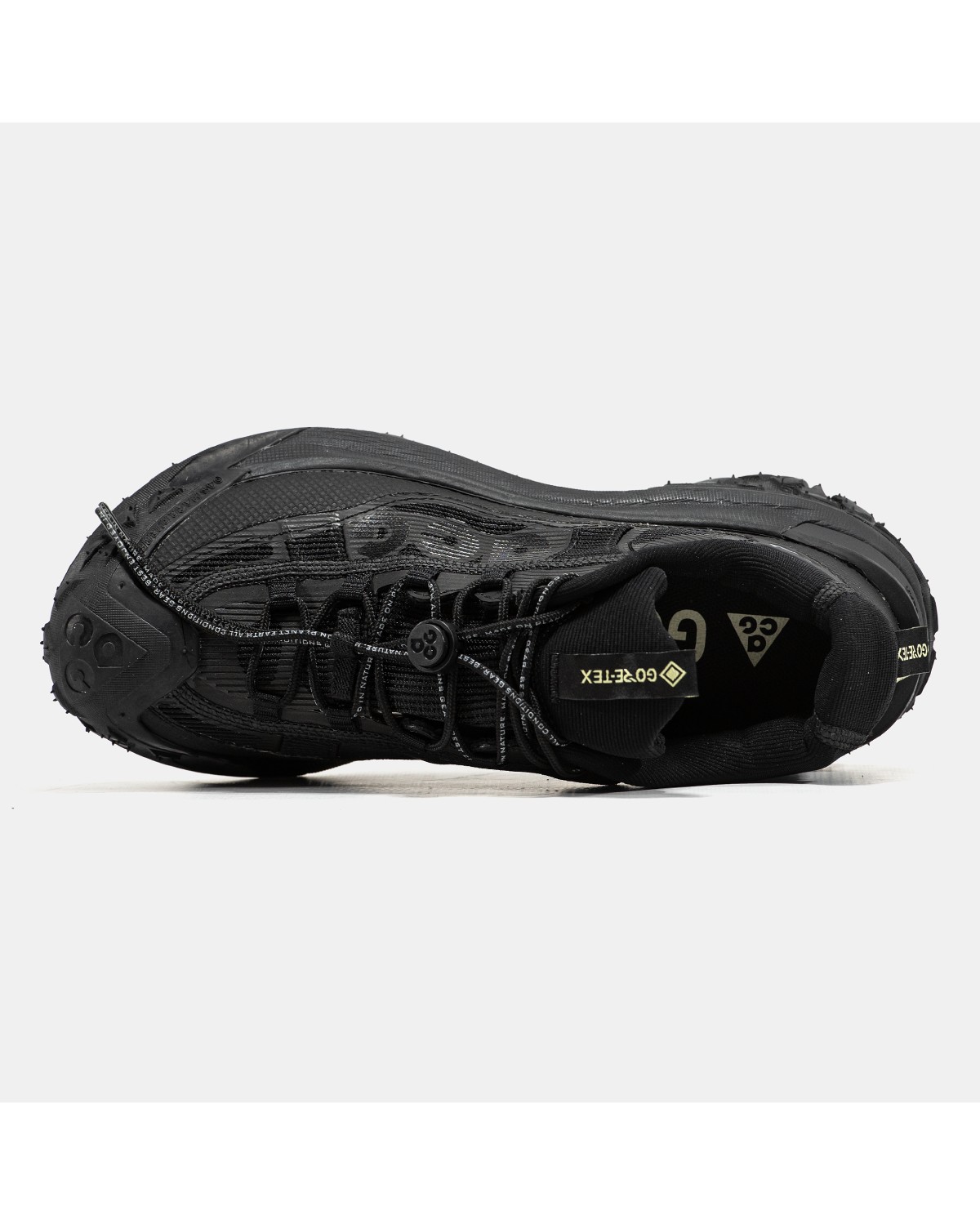 Nike ACG Mountain Fly 2 Gore-Tex
