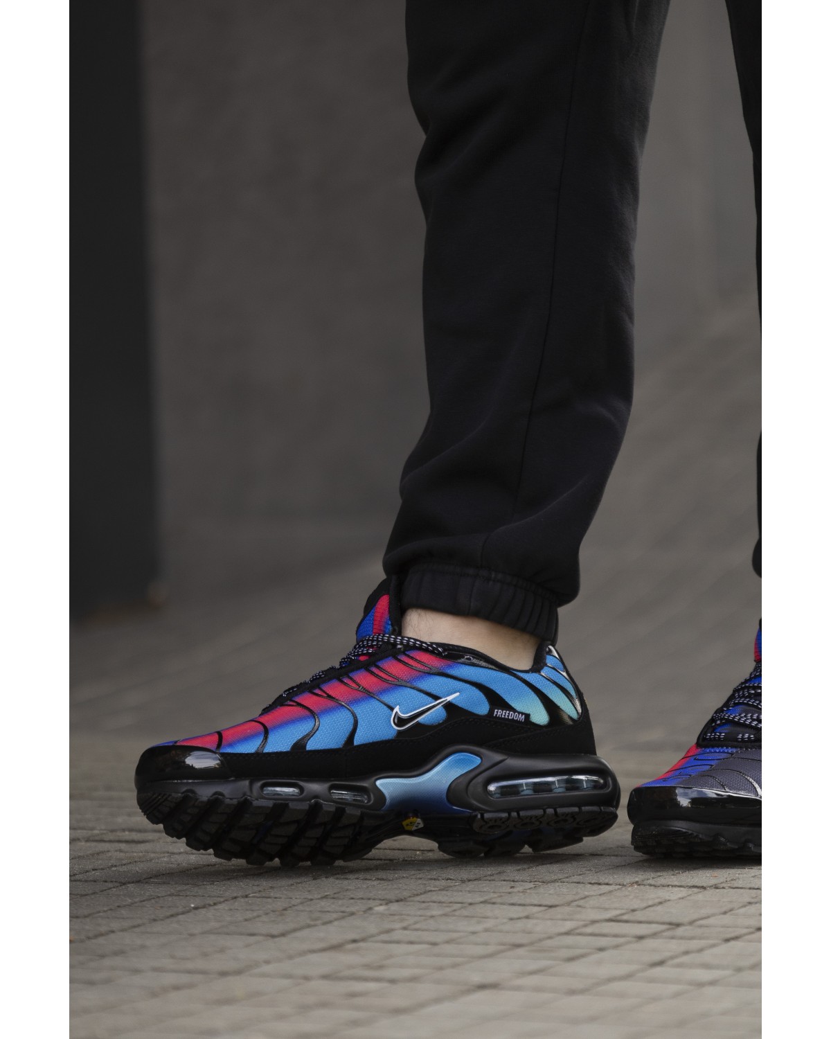 Nike Air Max Plus TN Black Blue Red