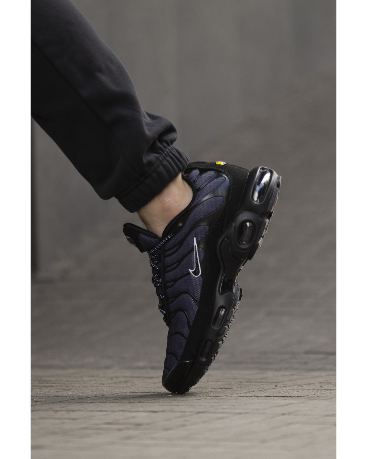 Nike Air Max Plus TN Black Blue Red