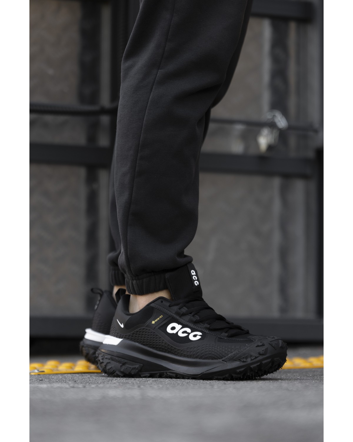 Nike ACG Mountain Fly Gore-Tex Black Grey