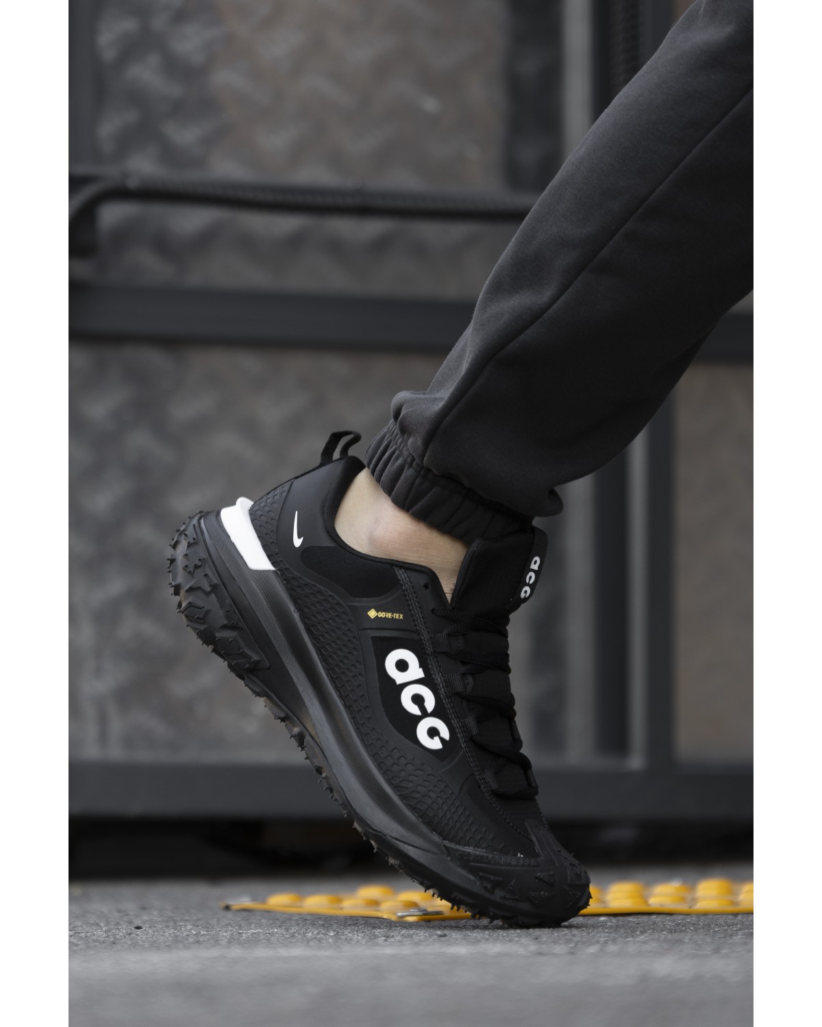 Nike ACG Mountain Fly Gore-Tex Black Grey