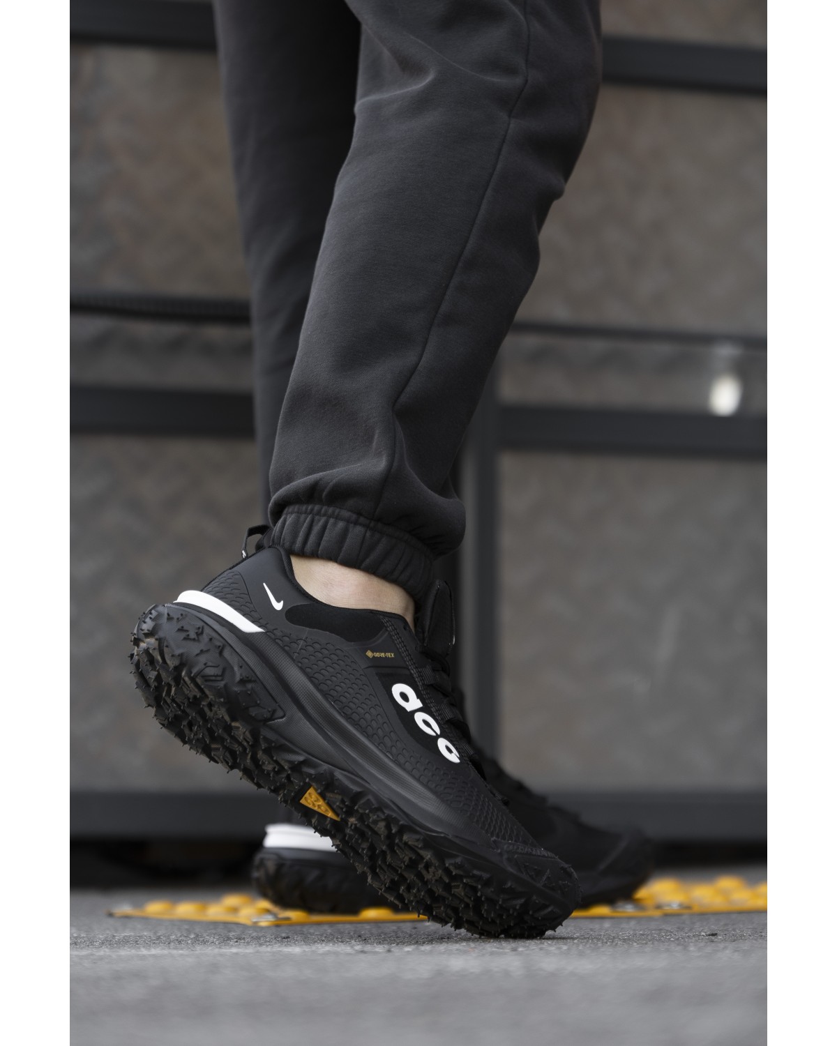 Nike ACG Mountain Fly Gore-Tex Black Grey