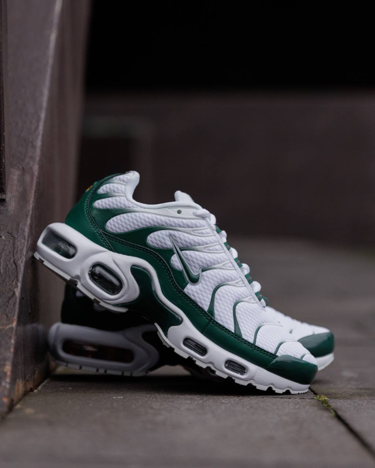 Nike Air Max Plus Tn x Lacoste Green White
