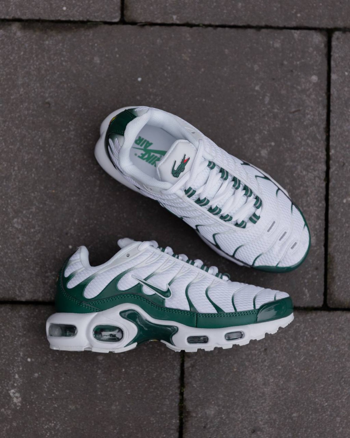 Nike Air Max Plus Tn x Lacoste Green White