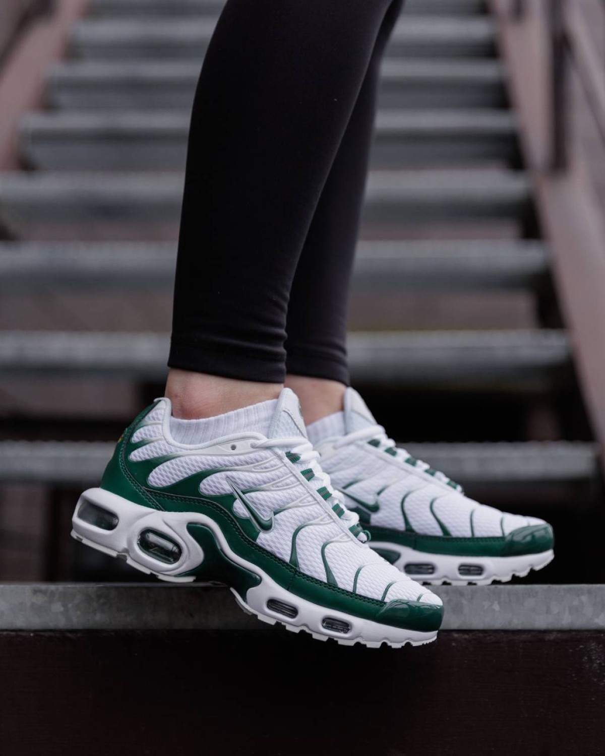 Nike Air Max Plus Tn x Lacoste Green White