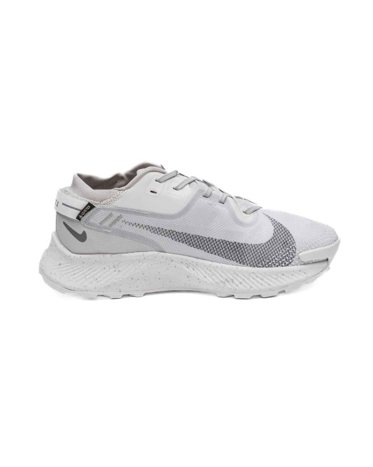 Nike Trail Pegasus Gore-Tex