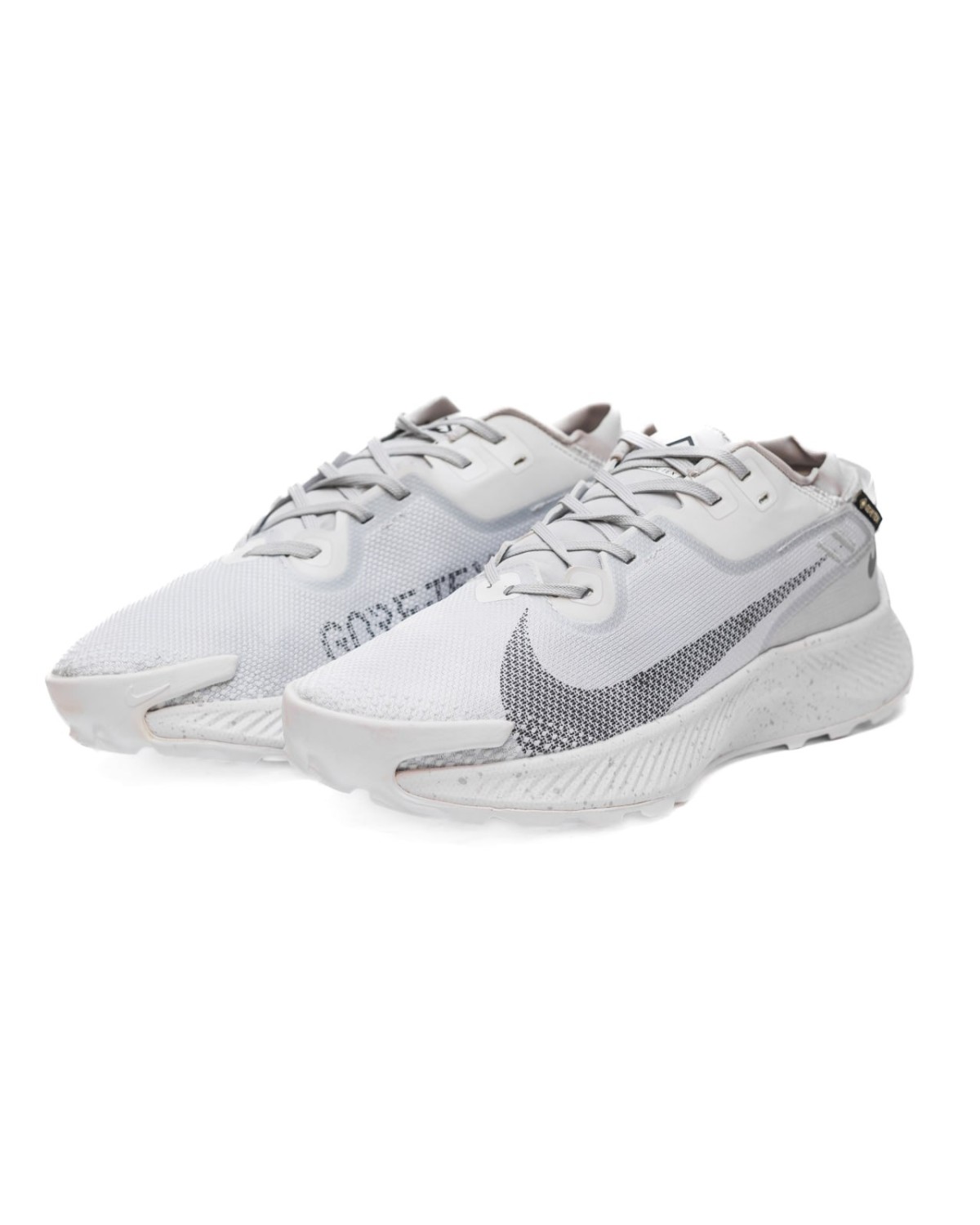 Nike Trail Pegasus Gore-Tex
