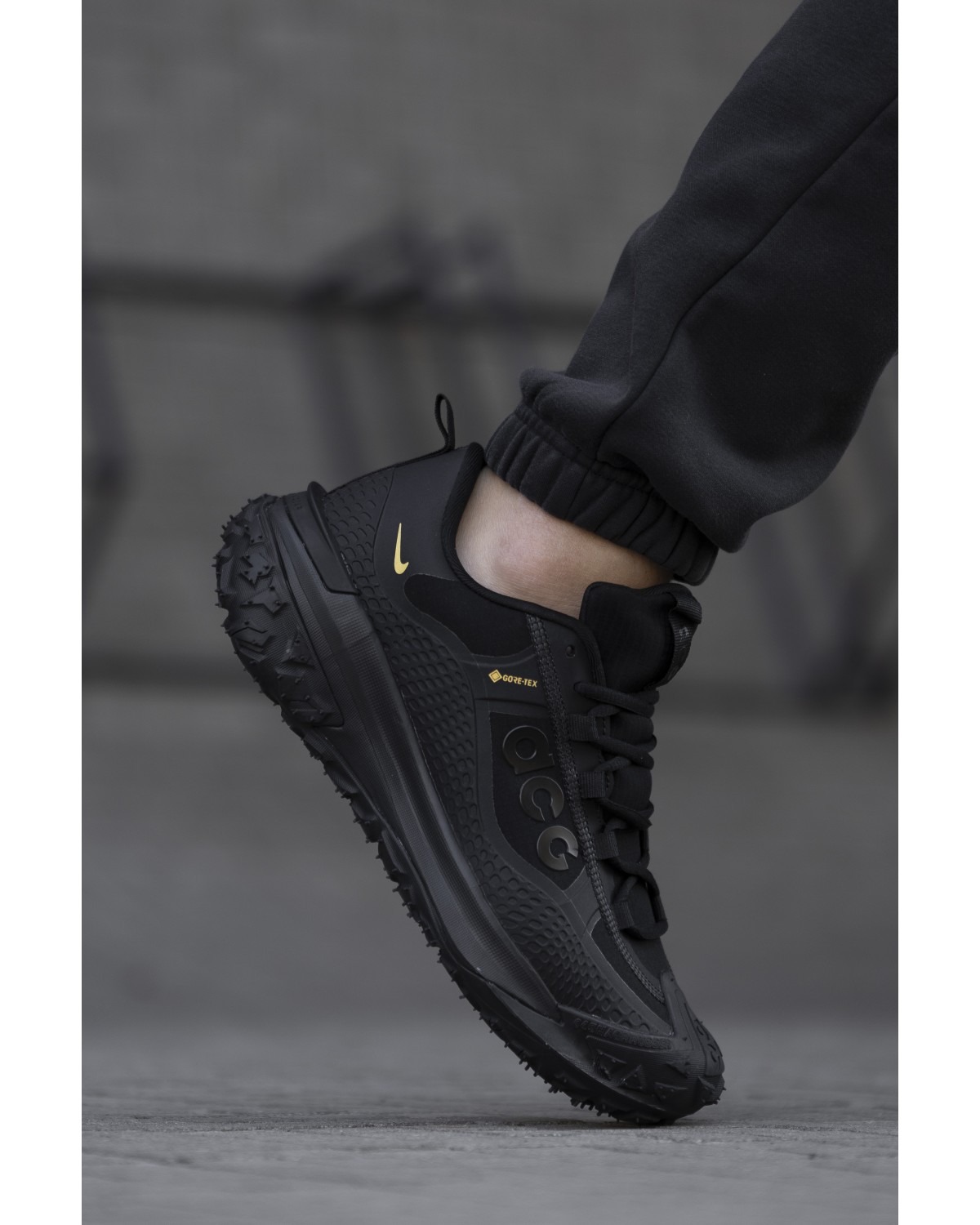 Nike ACG Mountain Fly Gore-Tex Black