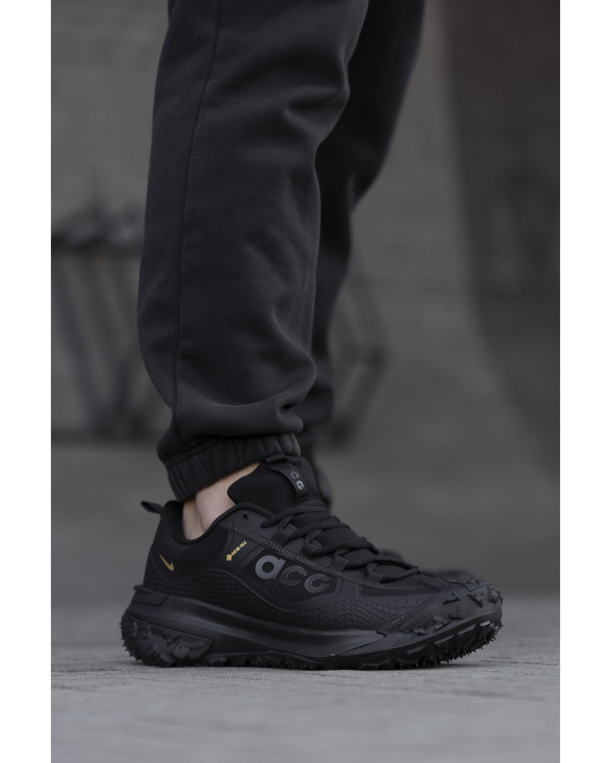 Nike ACG Mountain Fly Gore-Tex Black