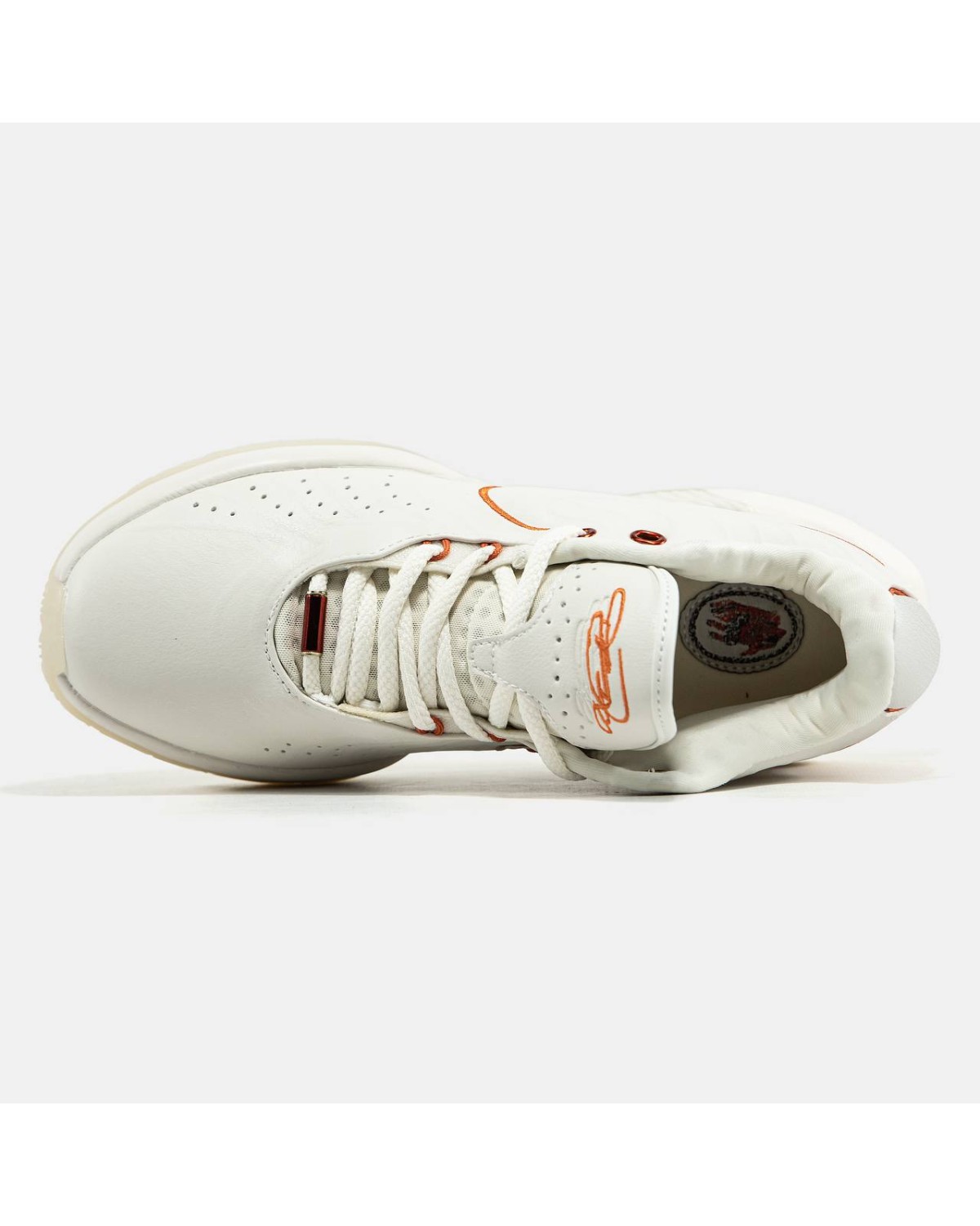 Nike LeBron 21 Akoya