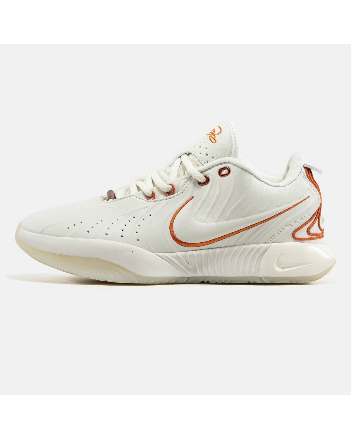 Nike LeBron 21 Akoya