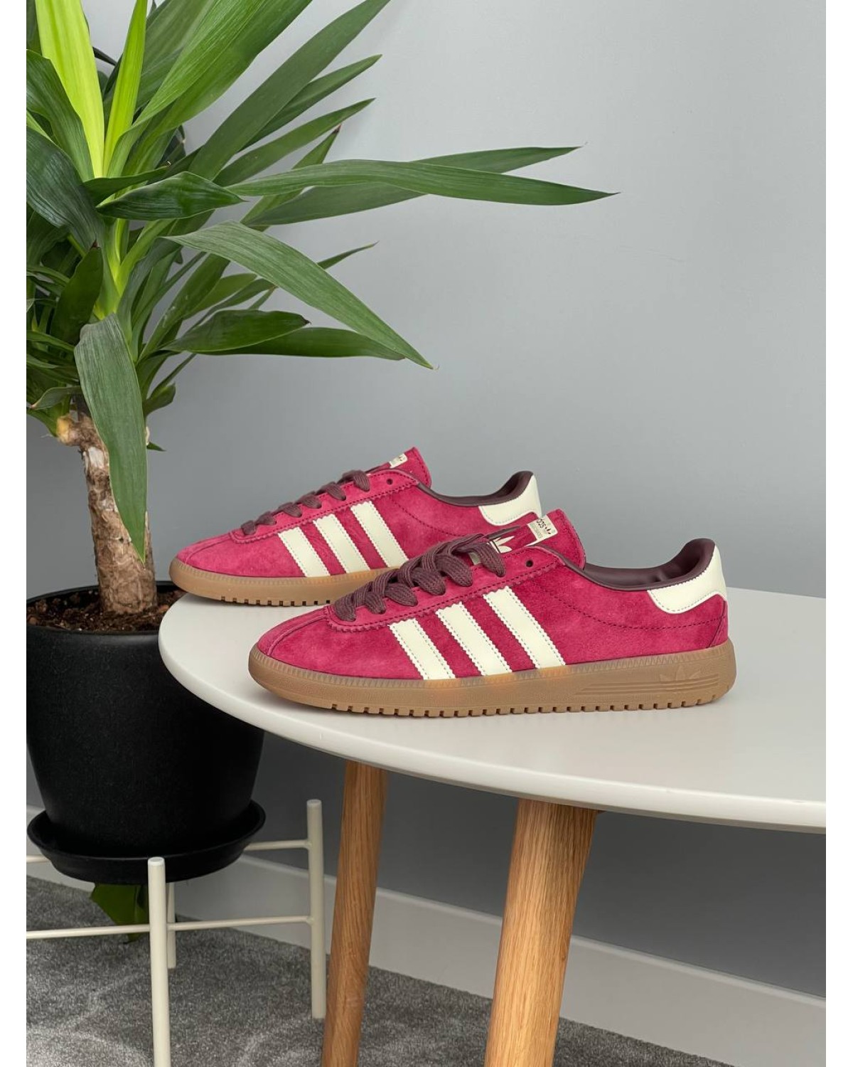 Adidas Bermuda Collegiate Burgundy