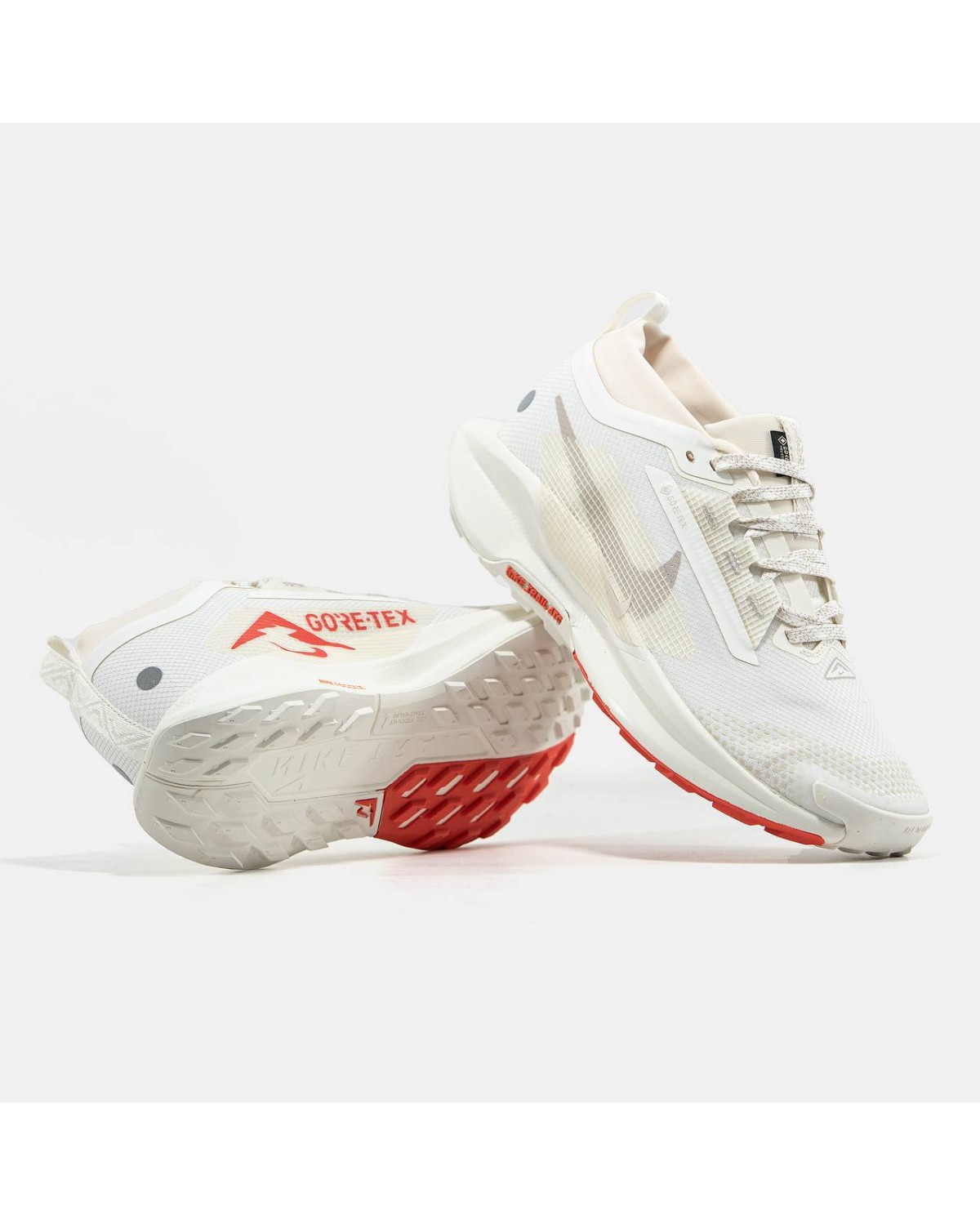 Nike Pegasus Trail 5 Gore-Tex