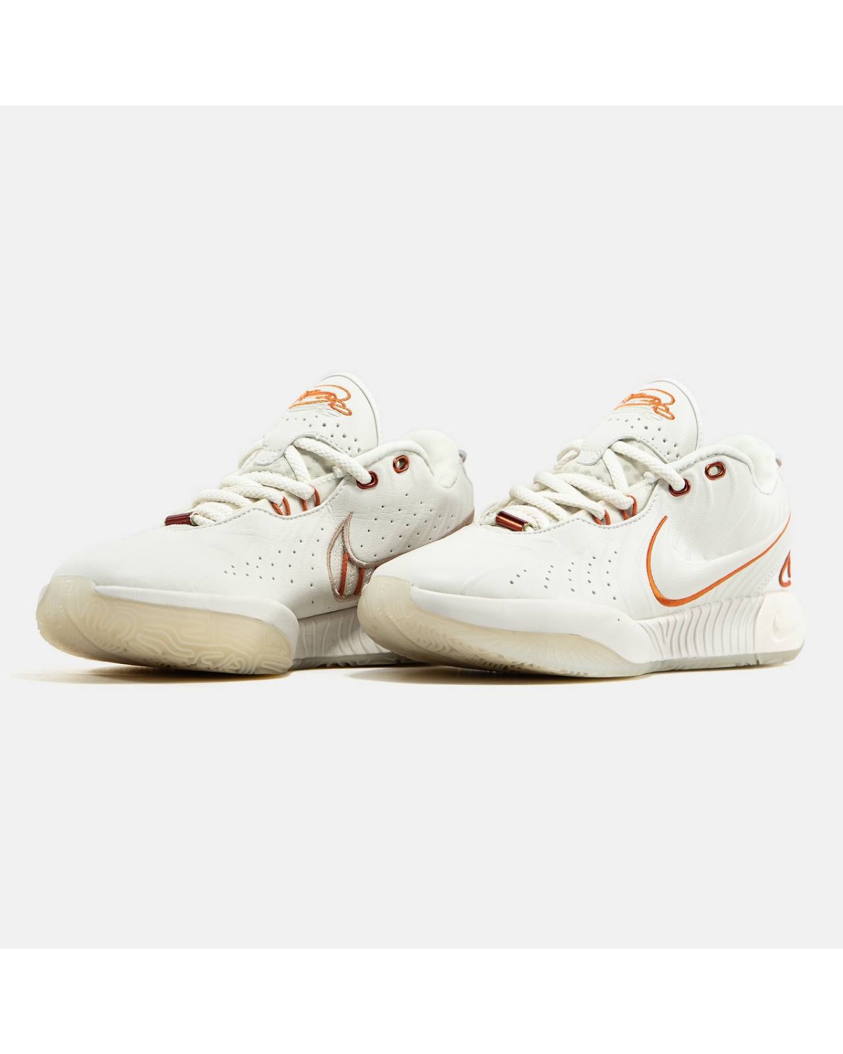 Nike LeBron 21 Akoya