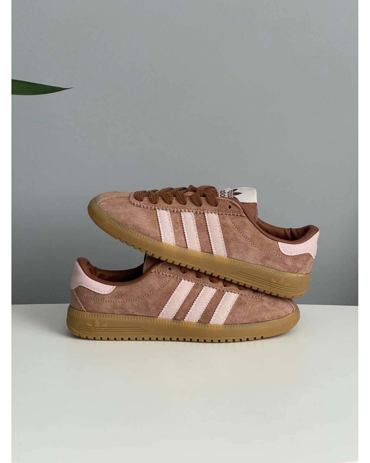 Adidas Bermuda Preloved