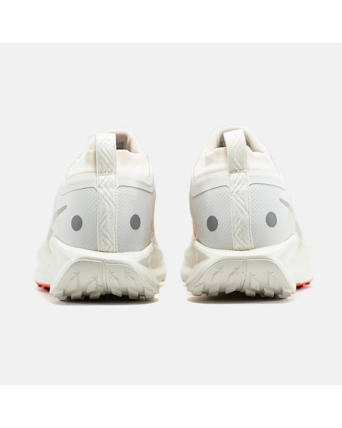 Nike Pegasus Trail 5 Gore-Tex