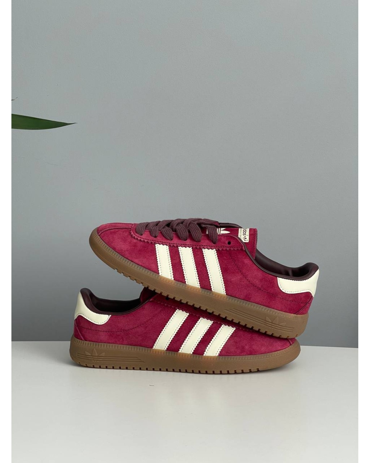 Adidas Bermuda Collegiate Burgundy