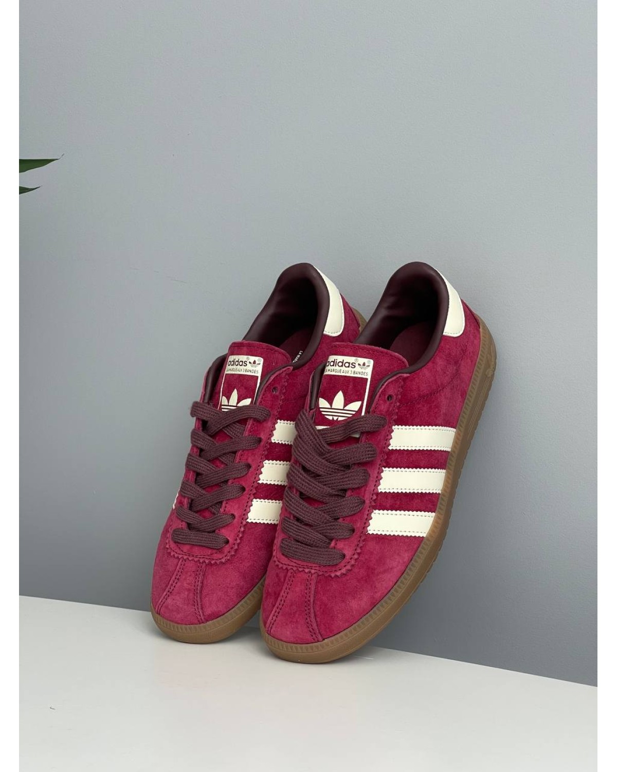 Adidas Bermuda Collegiate Burgundy
