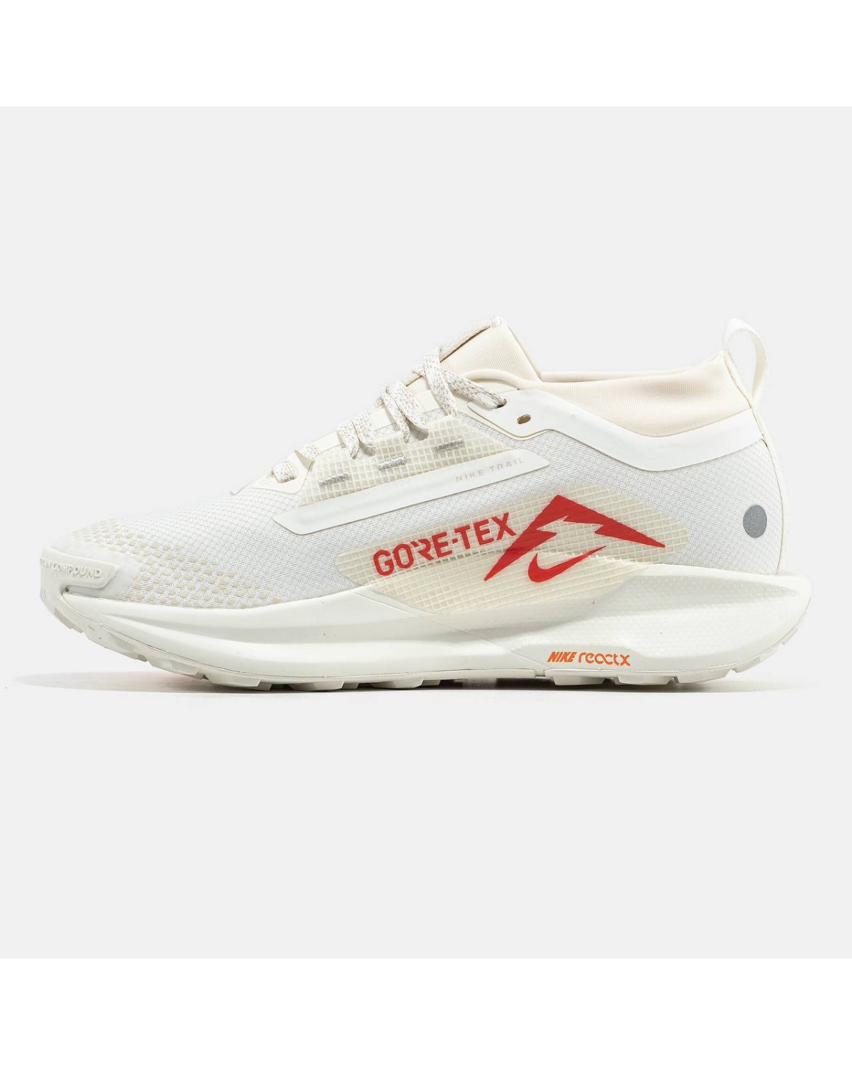Nike Pegasus Trail 5 Gore-Tex