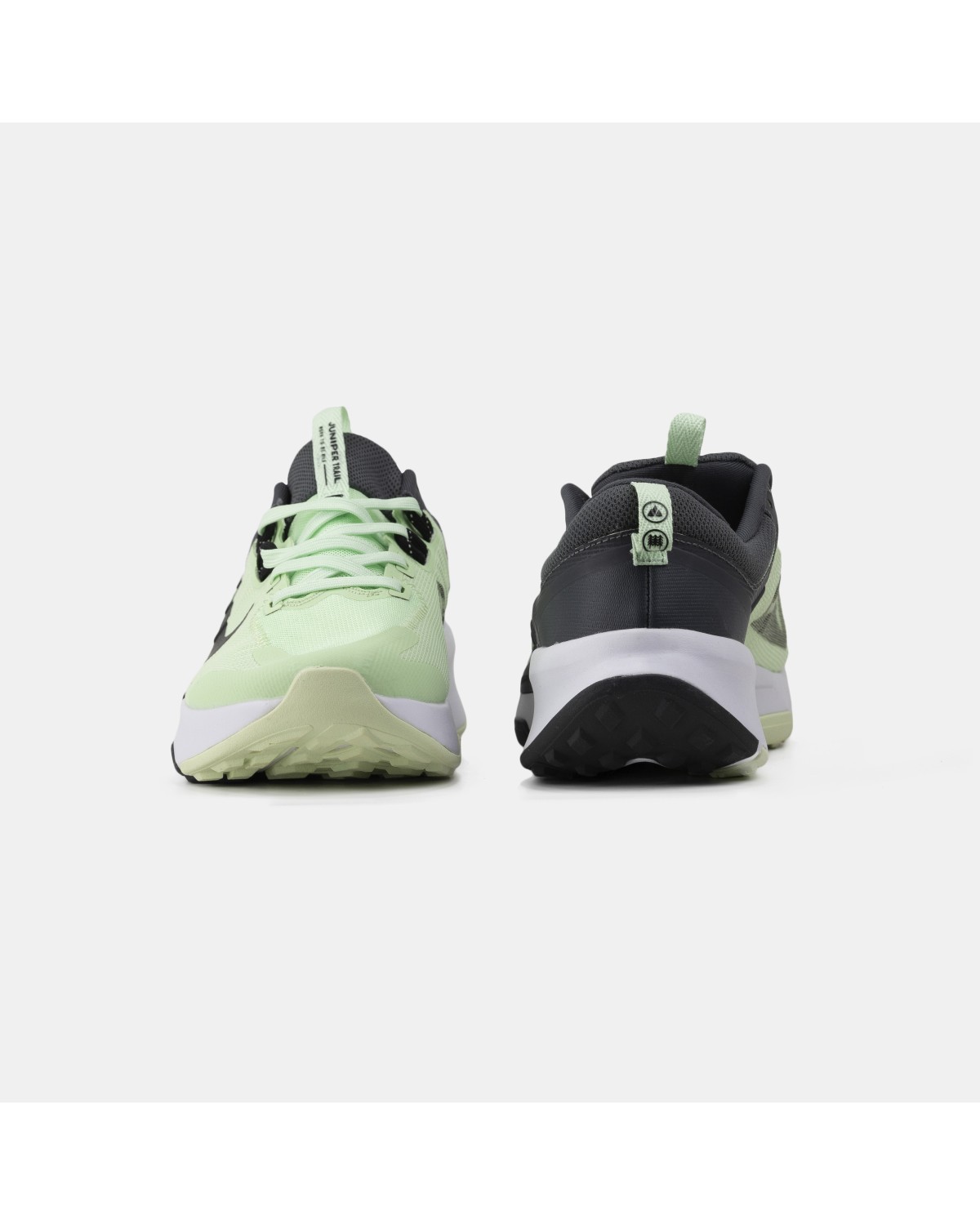 Nike Pegasus Mint