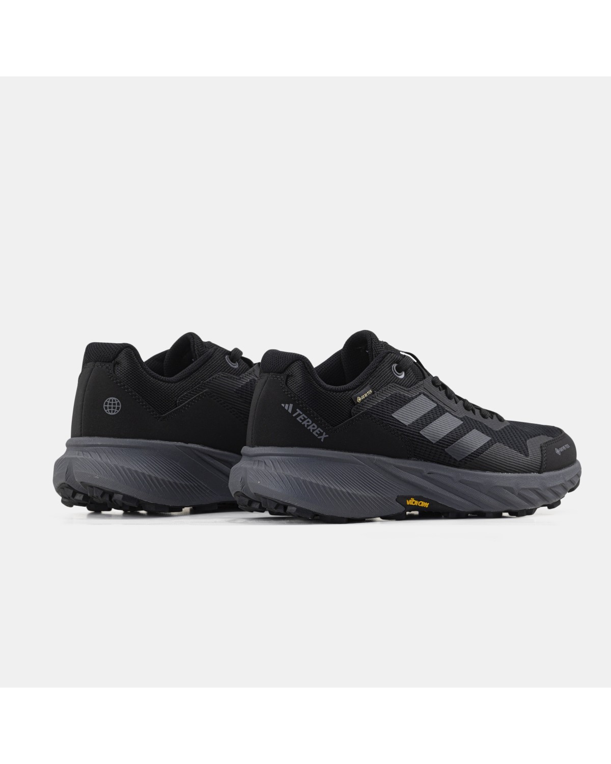 Adidas Terrex Gore-Tex