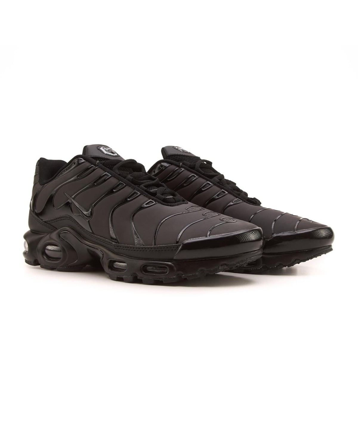 Nike Air Max TN Plus Chameleon Blue