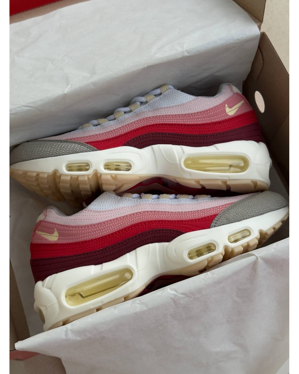 Nike Air Max 95 Anatomy Of Air