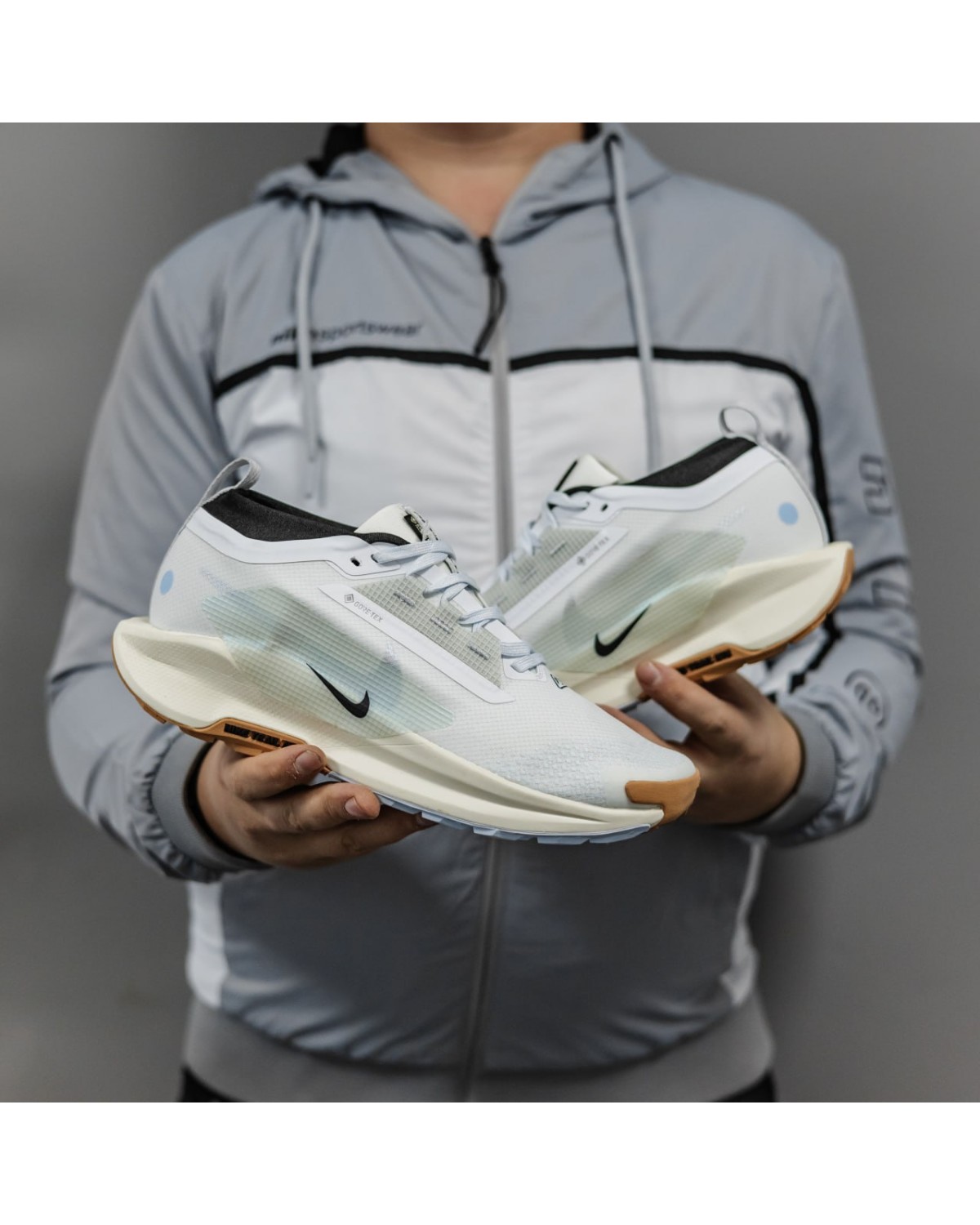 Nike Pegasus Trail 5 Gore-Tex Nike Pegasus Trail 5 Gore-Tex