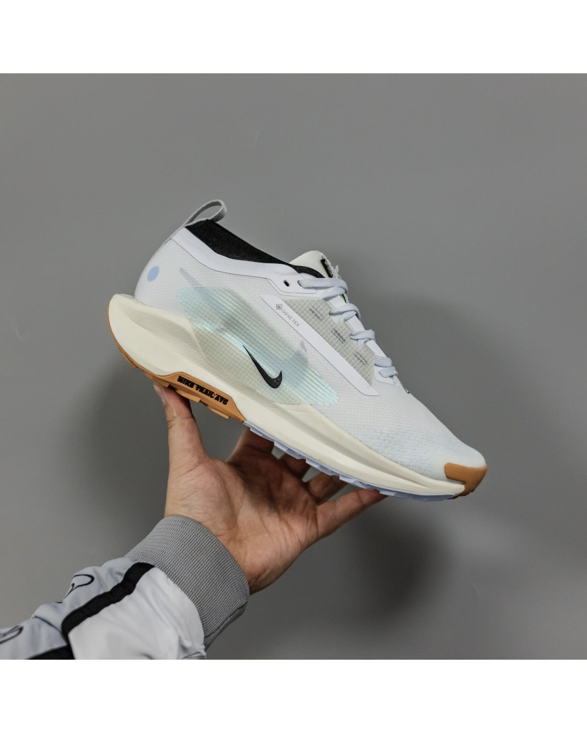 Nike Pegasus Trail 5 Gore-Tex