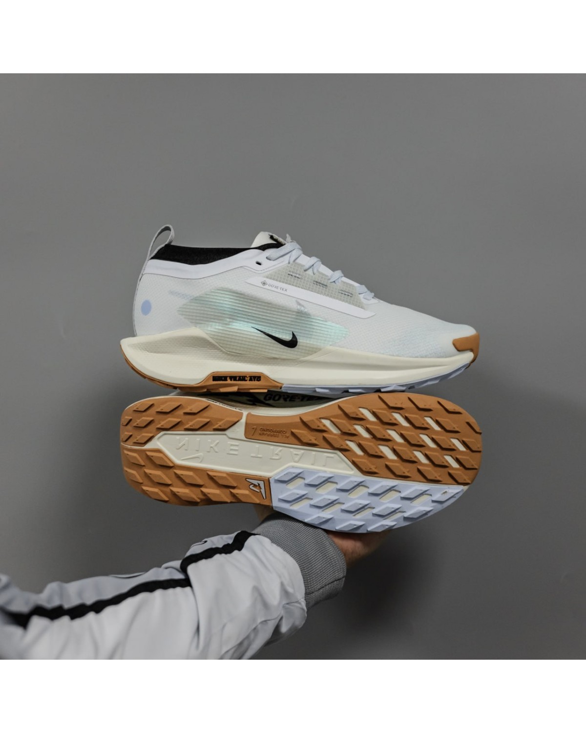 Nike Pegasus Trail 5 Gore-Tex