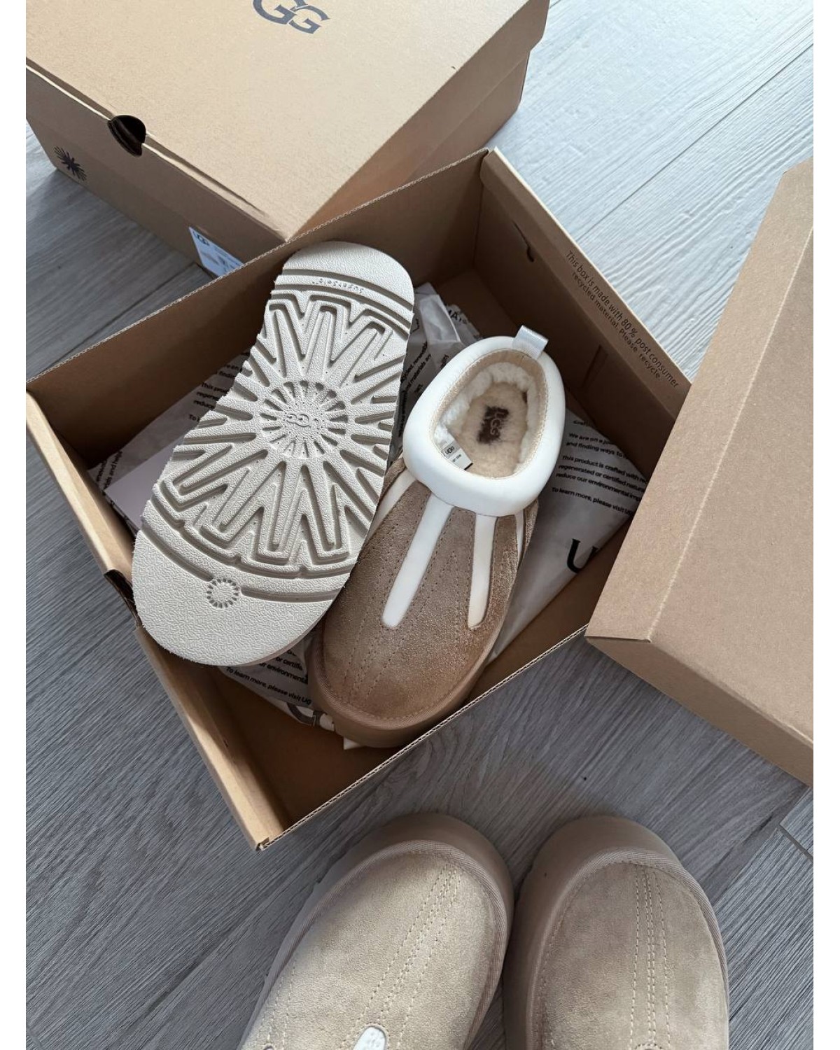 UGG Tazz Sunwave Slipper Mustard Seed