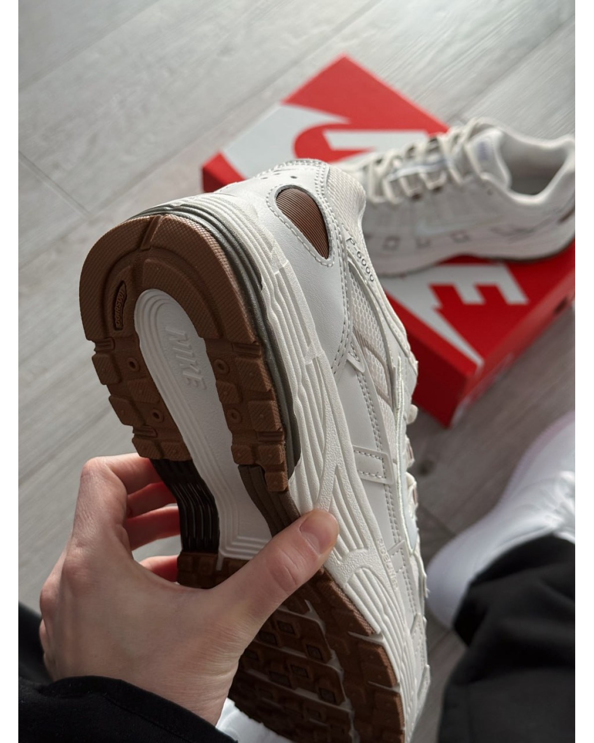 Nike P-6000 'Summit White Light Bone'