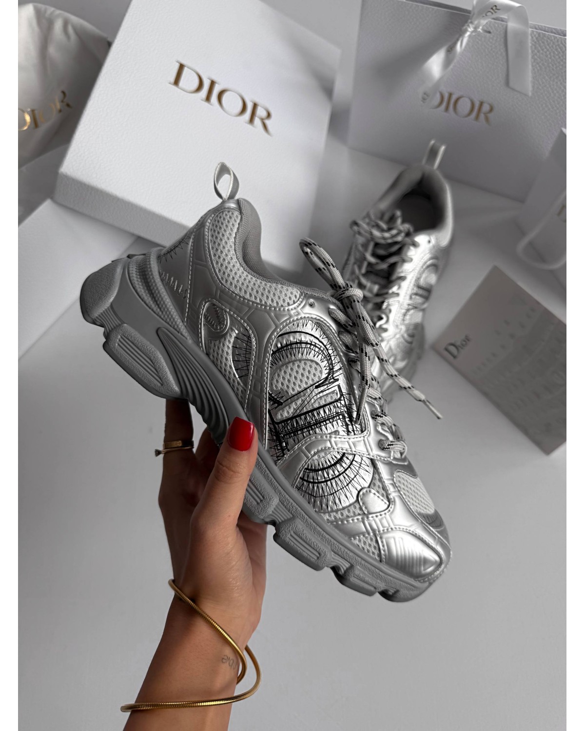 DIor Chrono Sneaker Silver