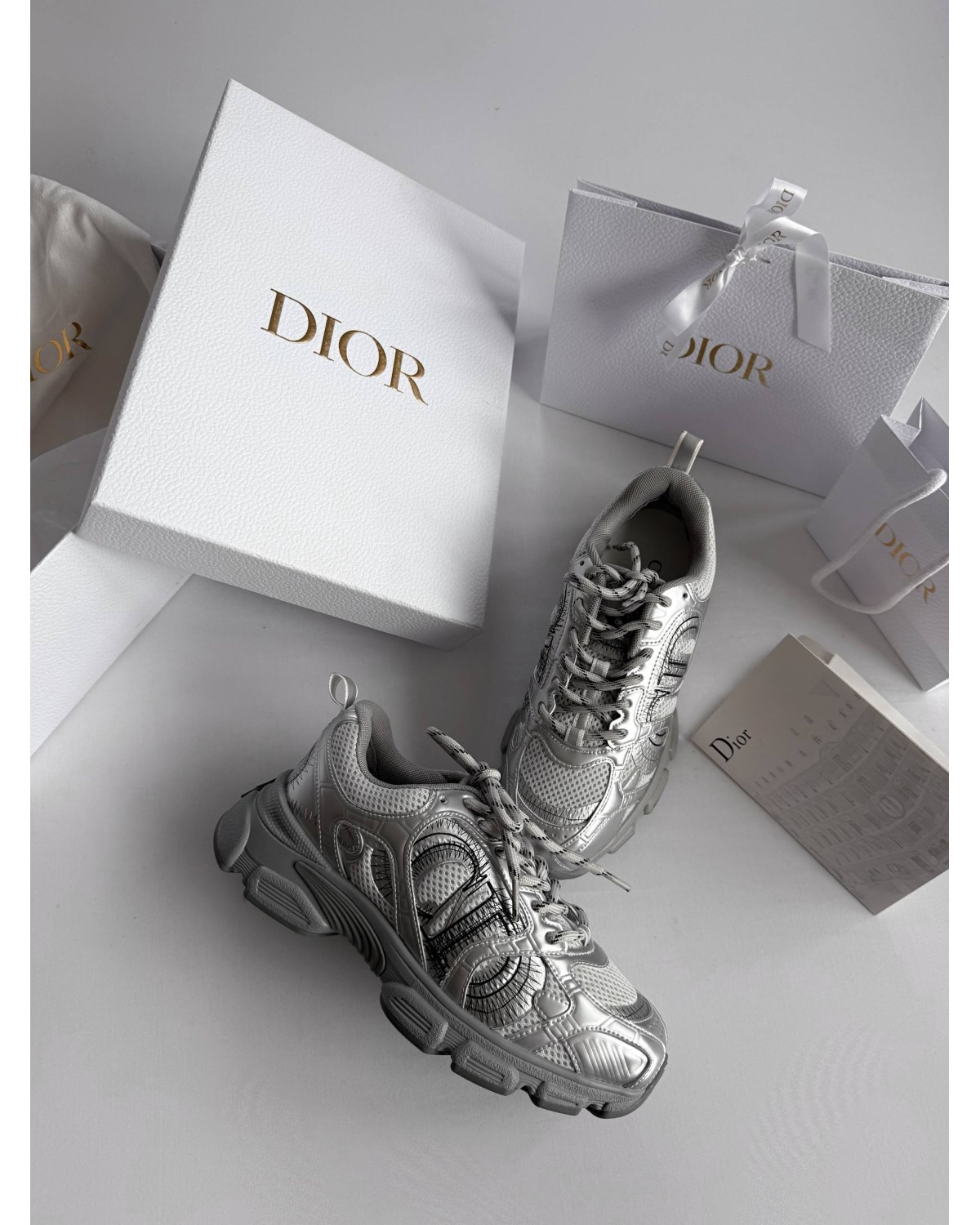 DIor Chrono Sneaker Silver
