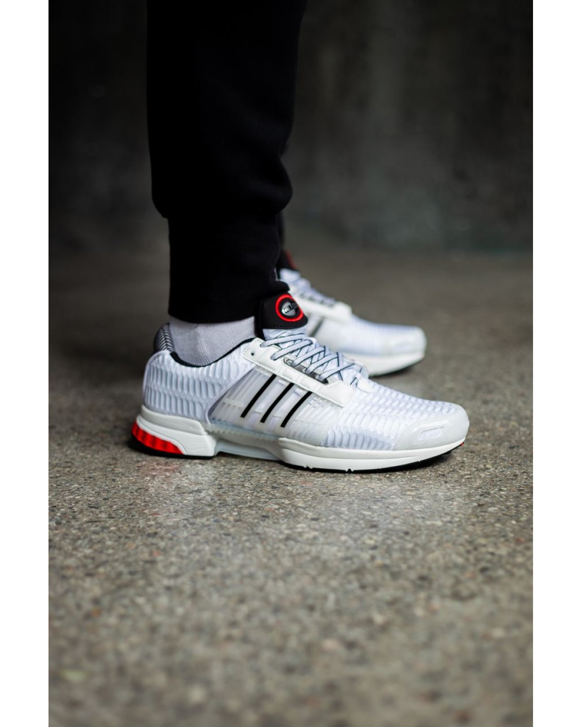 Adidas Climacool 1 White/Black