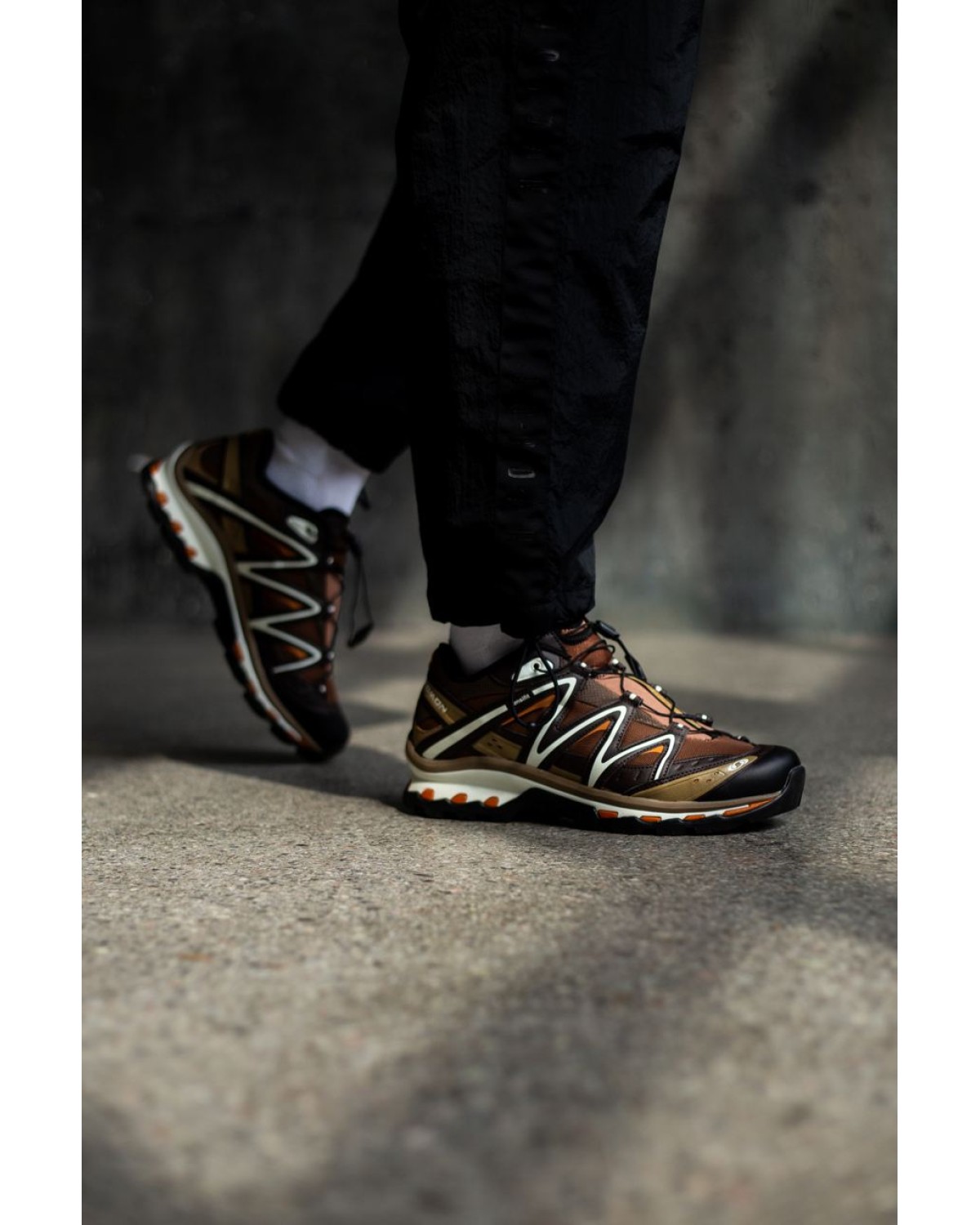 Salomon XT-Quest Brown