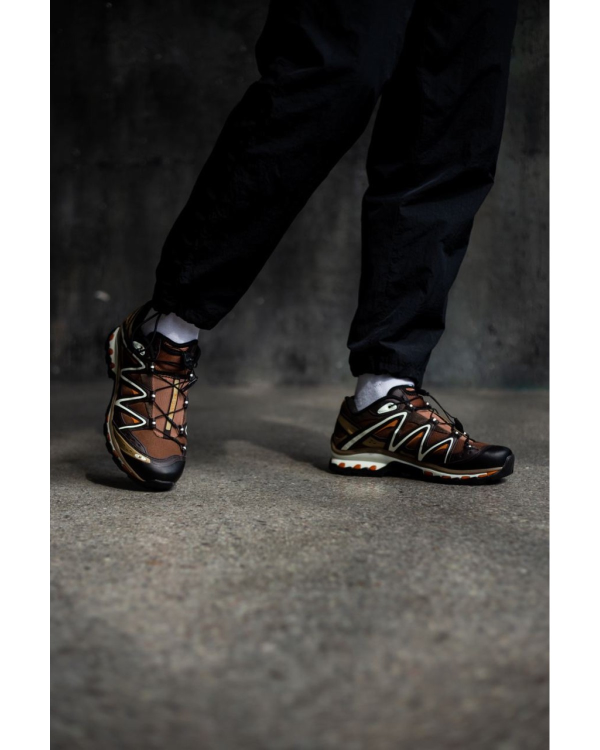 Salomon XT-Quest Brown