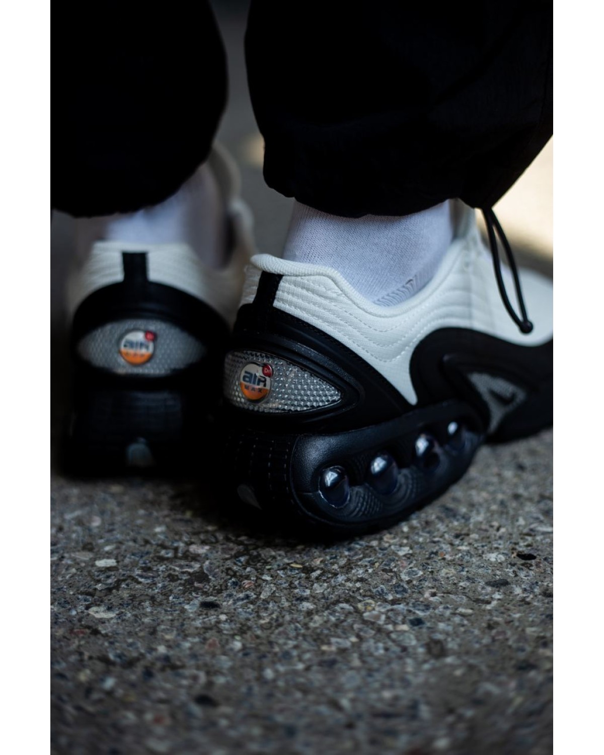 Nike Air Max DN Black/White