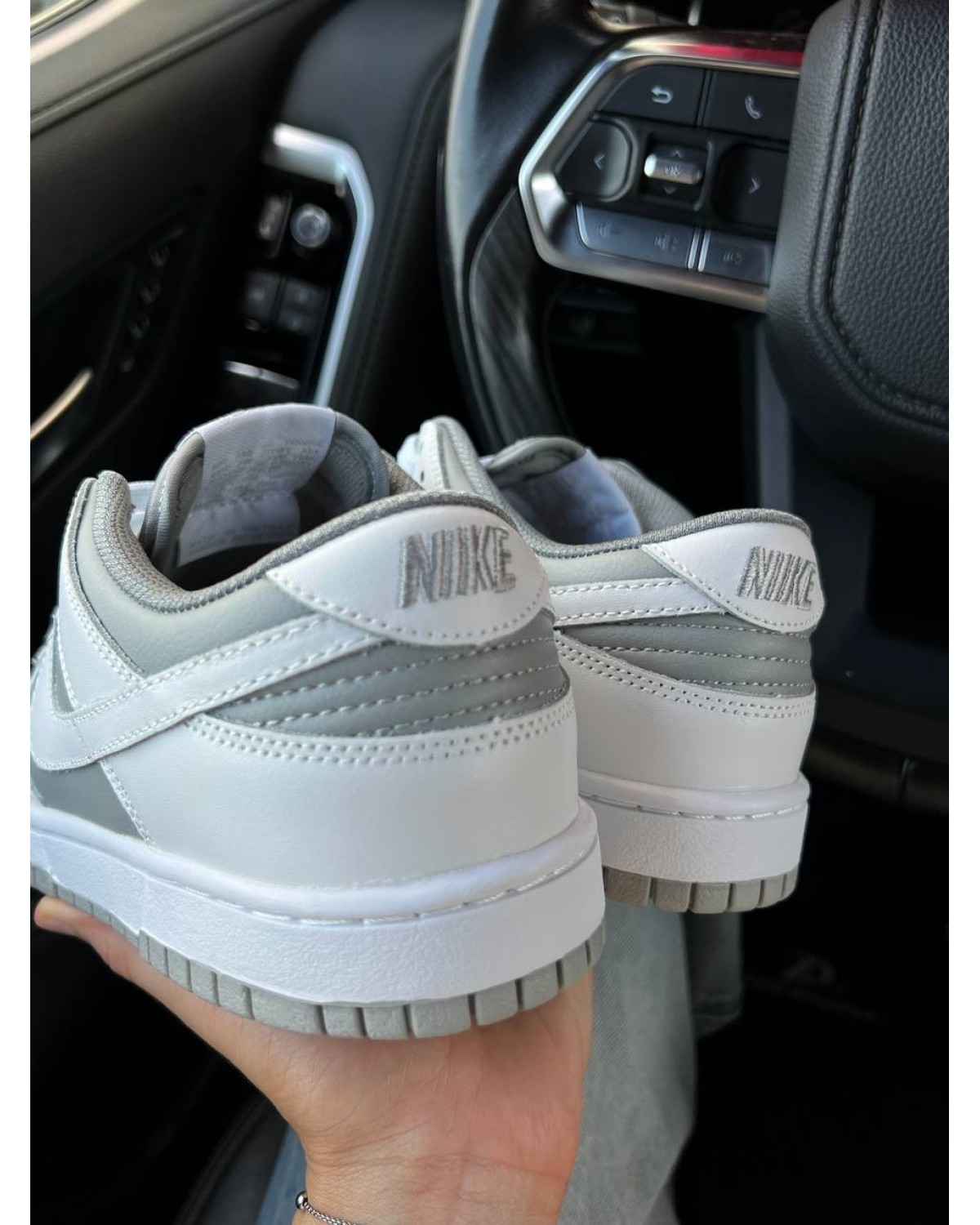Nike SB Dunk Low