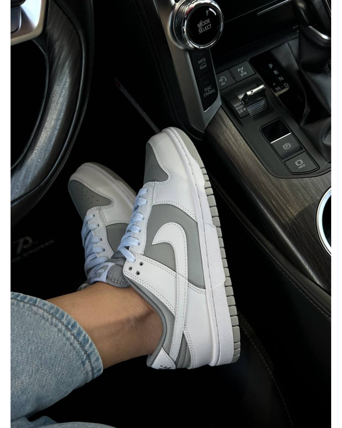 Nike SB Dunk Low