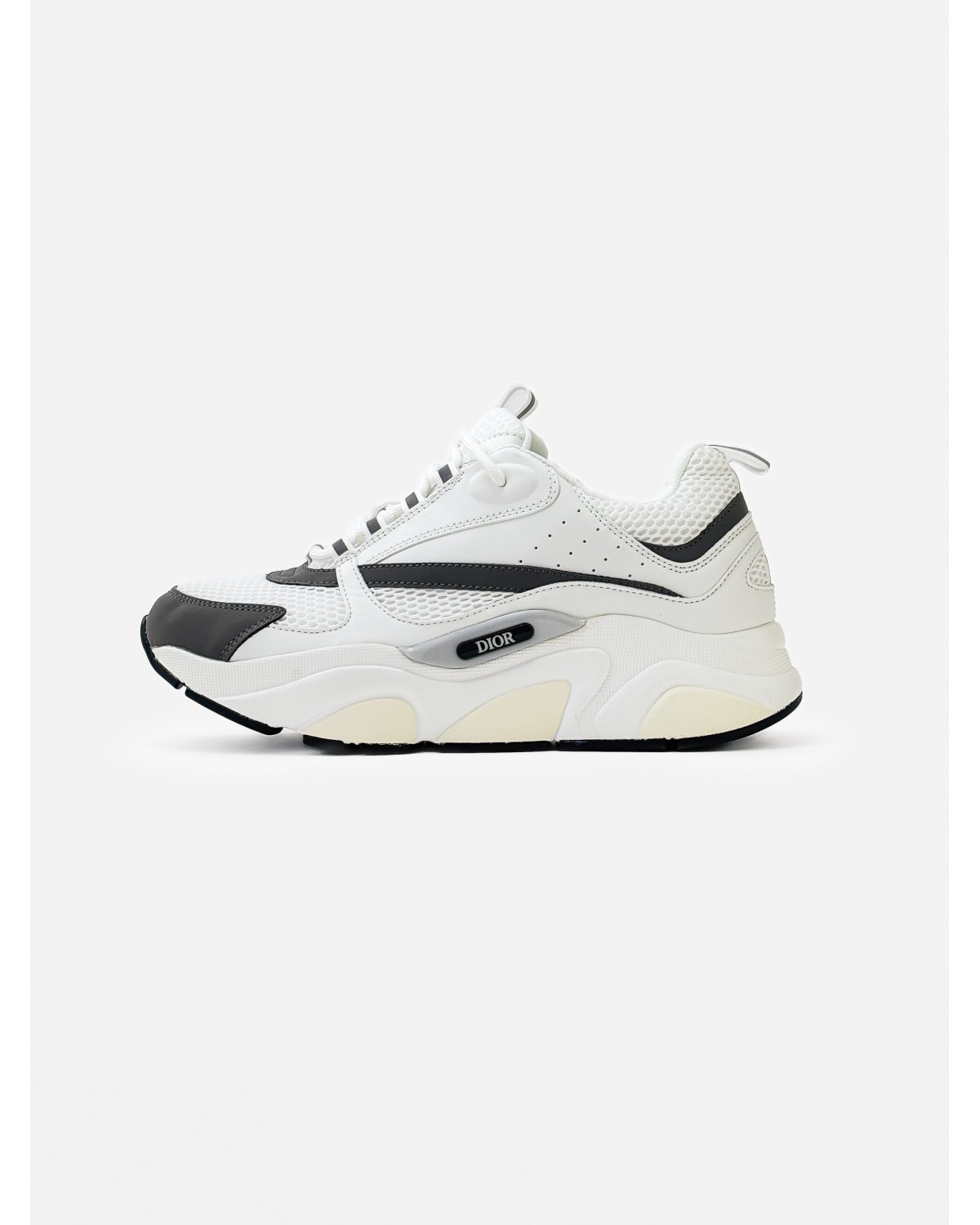 Dior B22 Reflevtive White\Grey