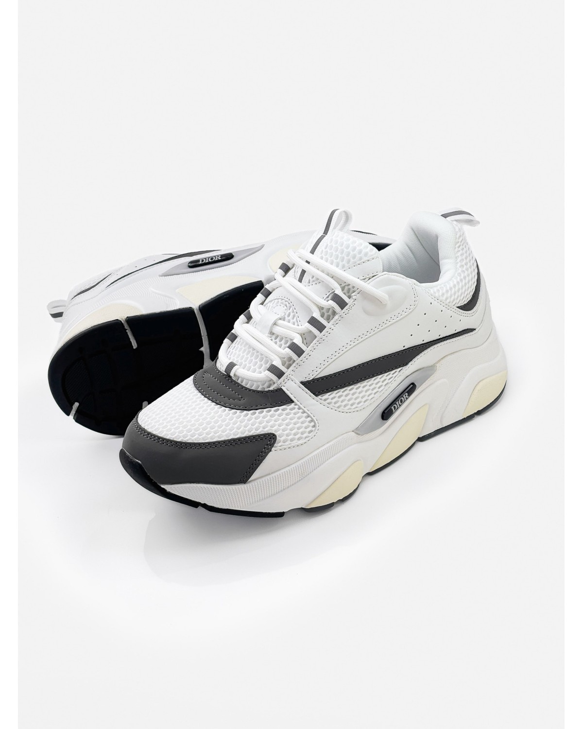 Dior B22 Reflevtive White\Grey