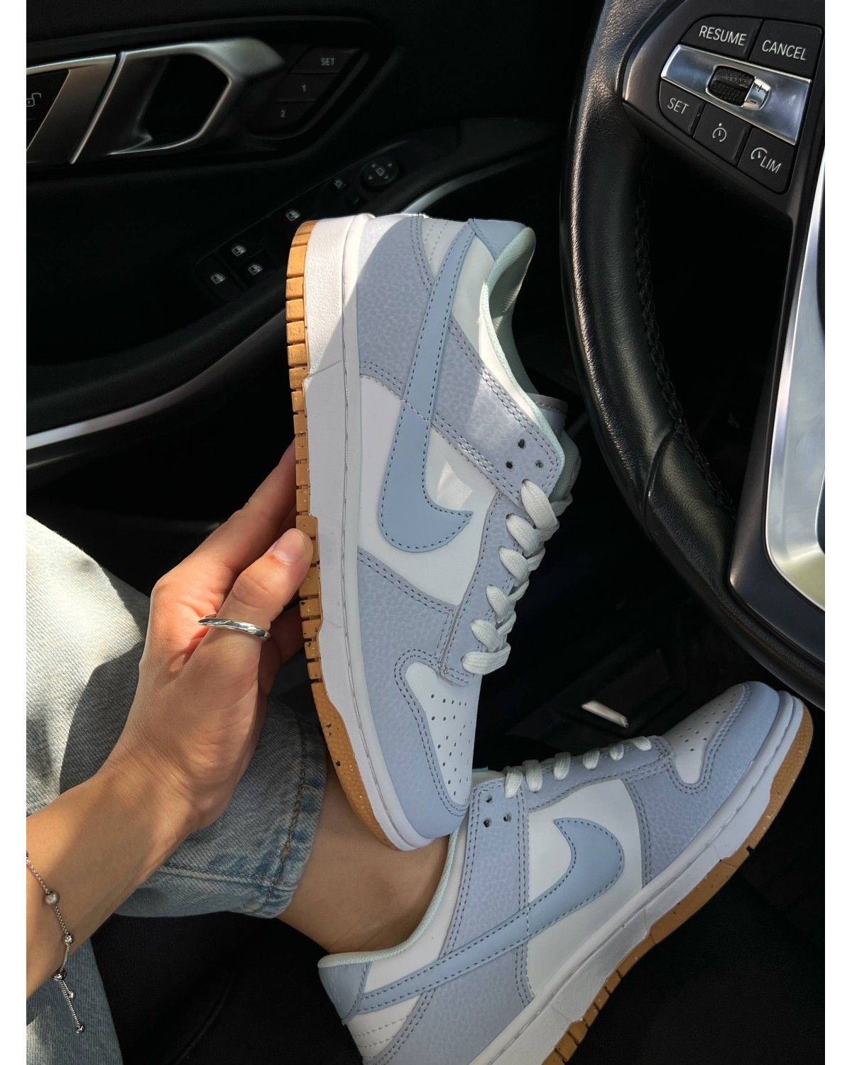 Nike SB Dunk Low