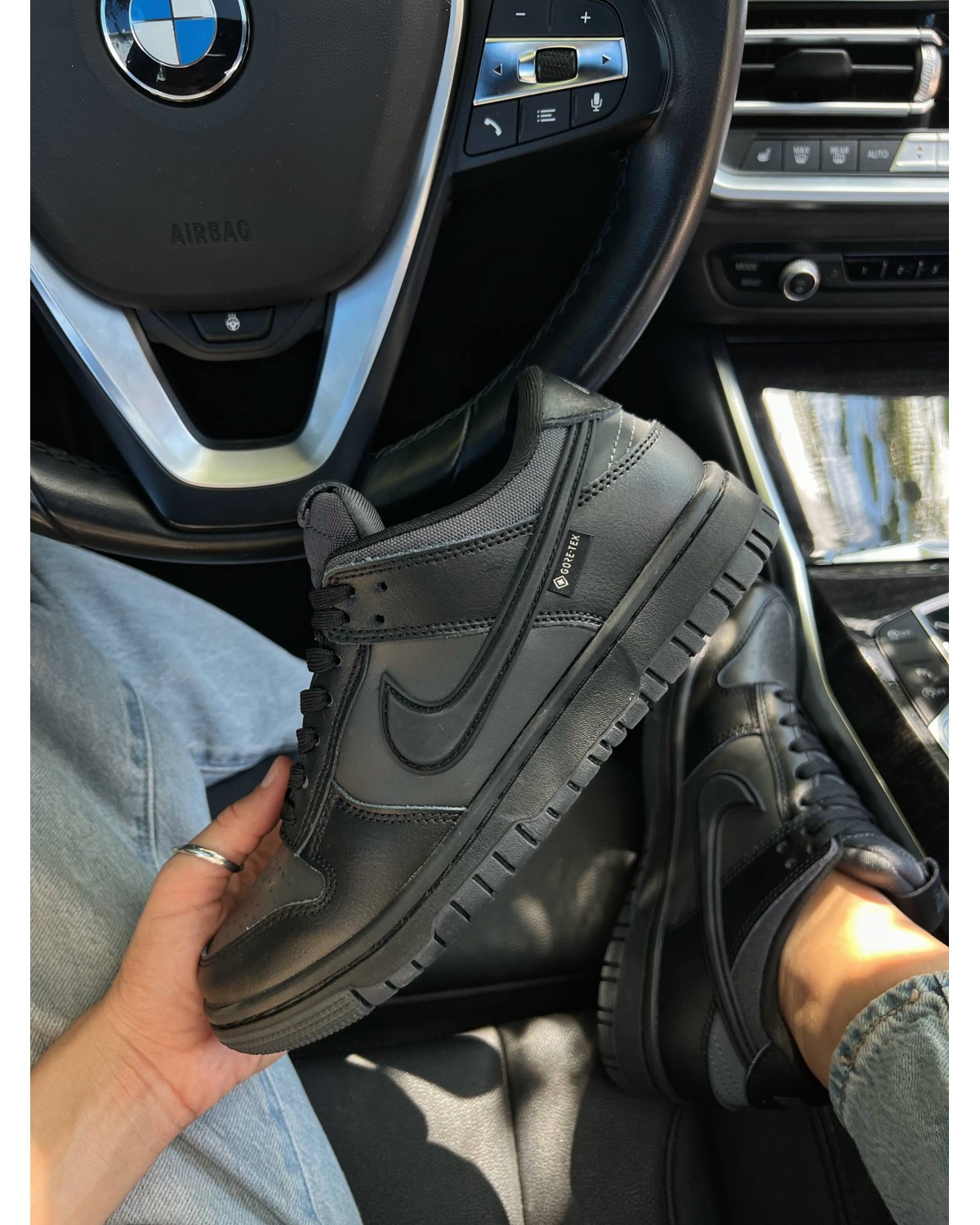 Nike SB Dunk Low Gore-Tex