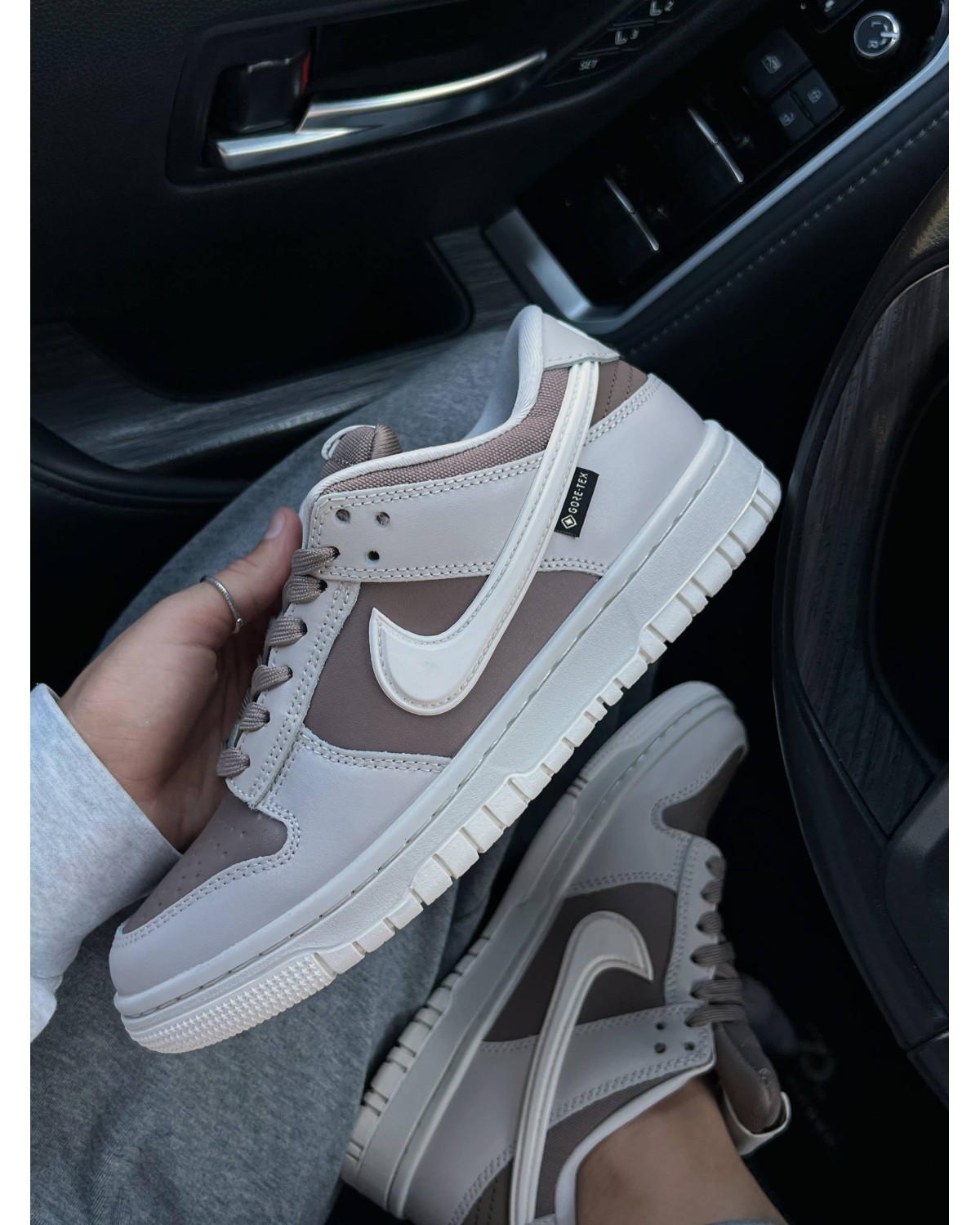 Nike SB Dunk Low Gore-Tex Termo