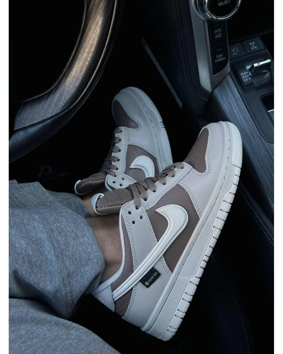 Nike SB Dunk Low Gore-Tex Termo