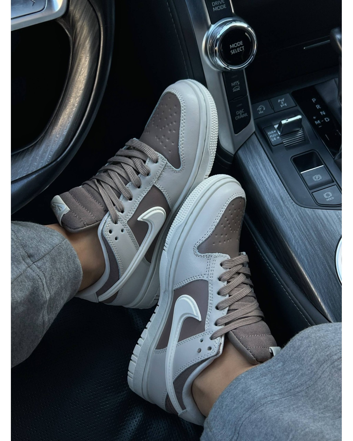 Nike SB Dunk Low Gore-Tex Termo