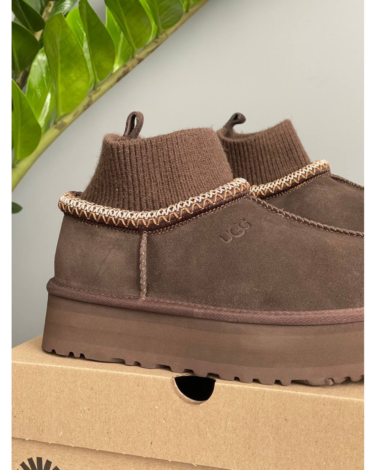 Ugg Tazz Sock Chocolate